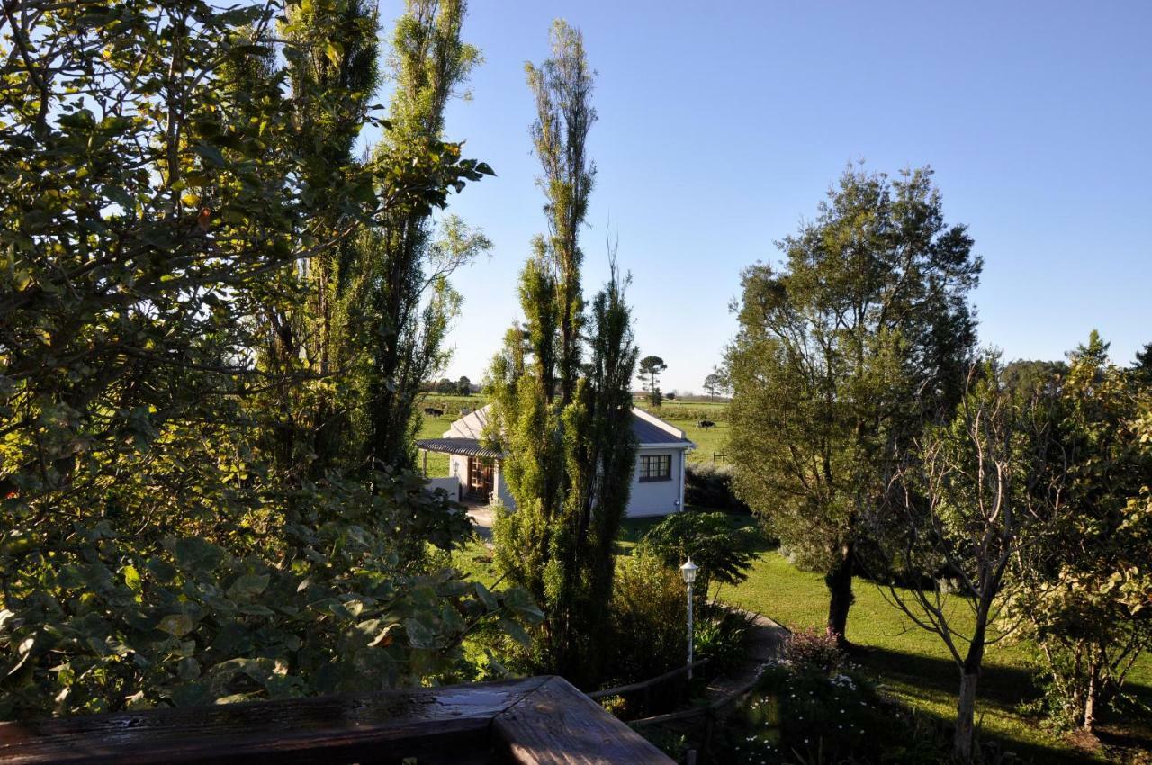 Tsitsikamma Gardens Cottages Self-Catering Cottages Sanddrif Exterior foto